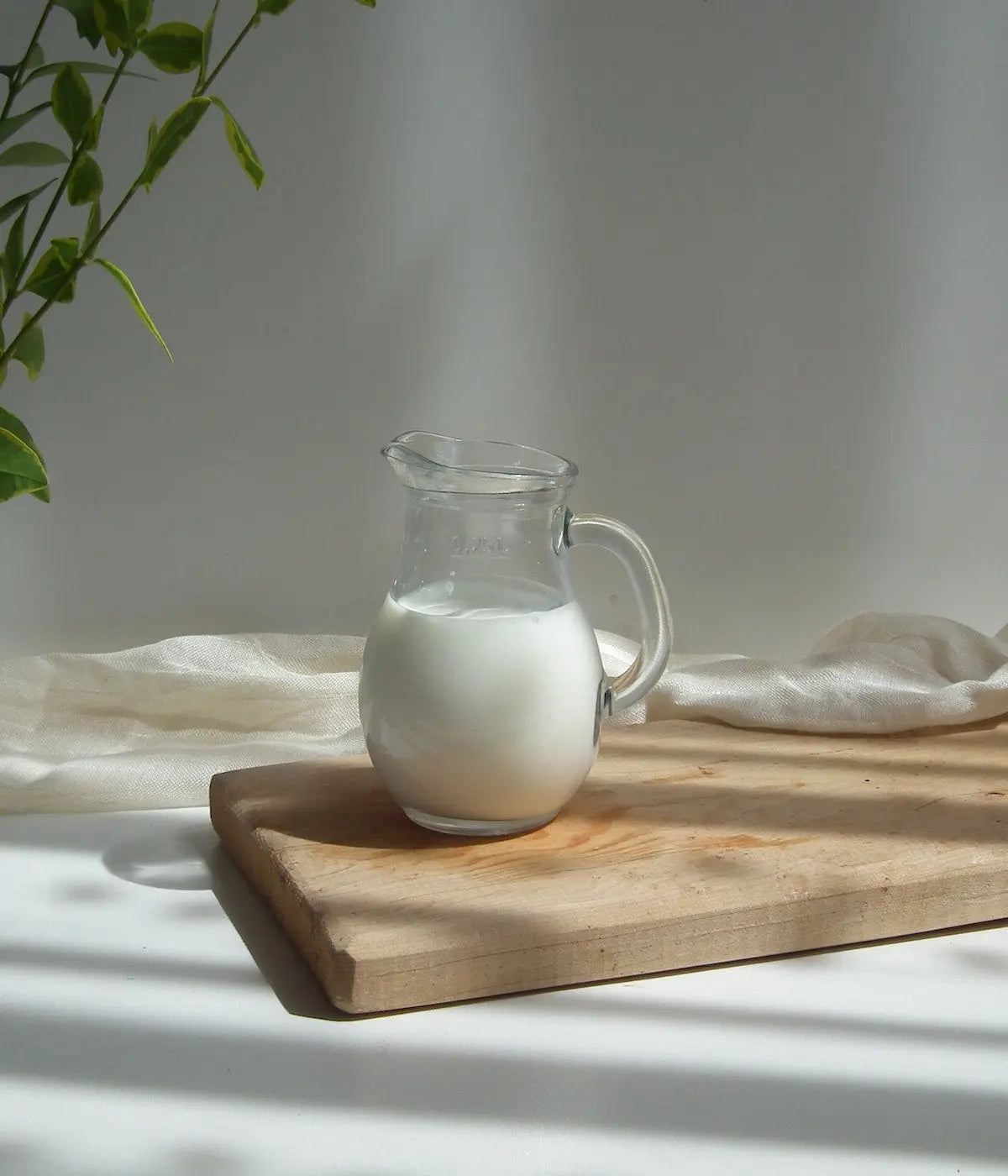 Glass Jug: Fresh Milk Storage Solution - 60 oz