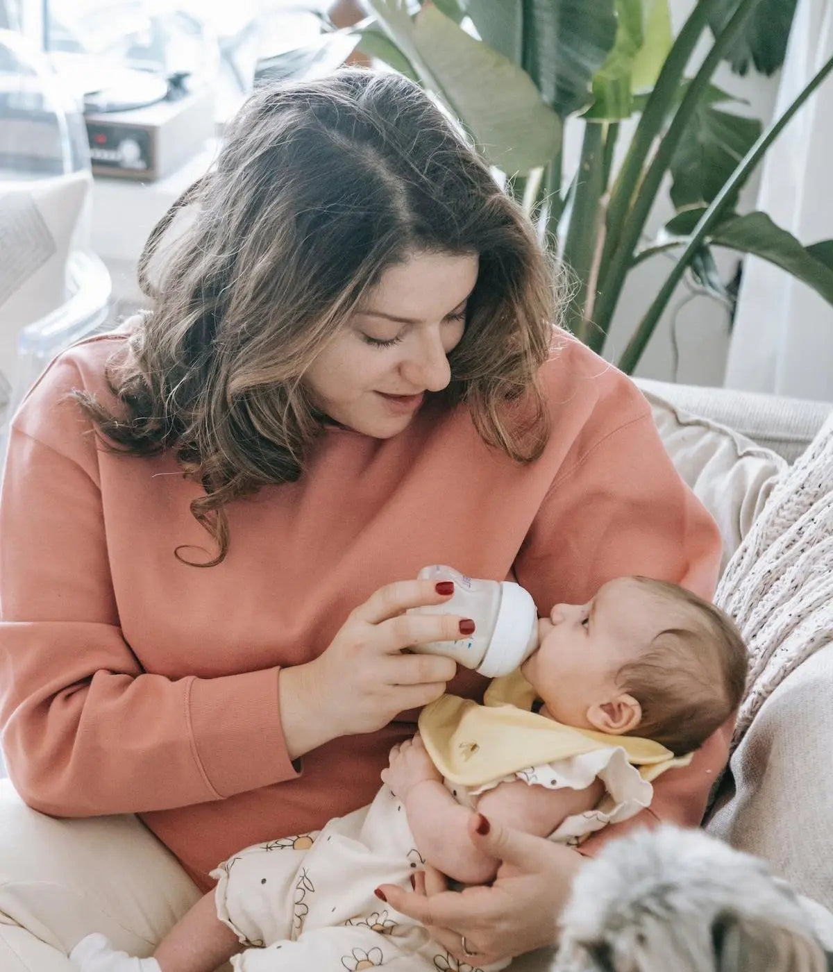 Glass Plastic Baby Bottles: The Debate - Main Image